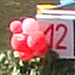 DSC00182_Panorama1_64x19cm_Dx75