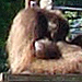 DSC00737_Panorama1_92x29cm_Dx75