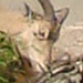 DSC00817_Panorama1_83x29cm_Dx75