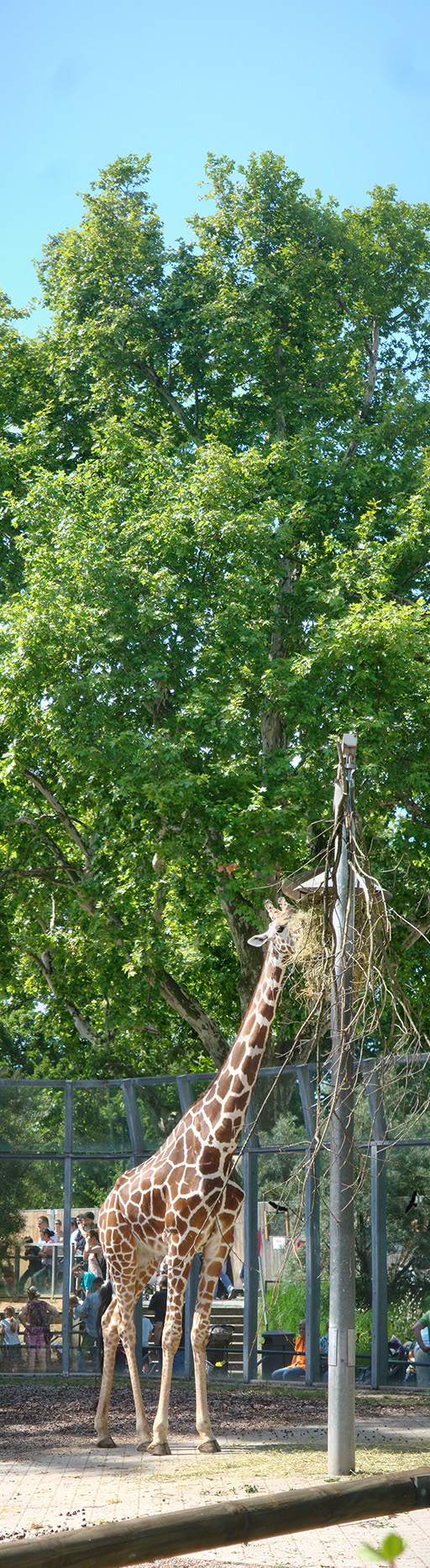 DSC00908_Panorama1_23x86cm_x512