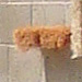 DSC00918_Panorama1_126x26cm_Dx75