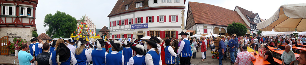DSC09232_Panorama1_100x21_x1024