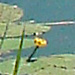 DSC09374_Panorama1_60x28_Dx75